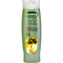 Mayolivashampoo12oz1